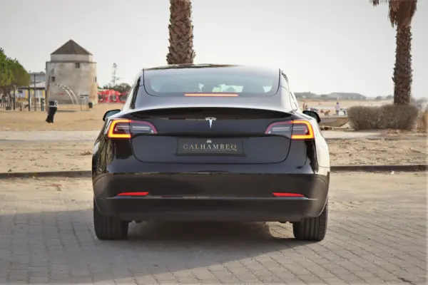 Tesla Model 3 Standard Range Plus RWD 10