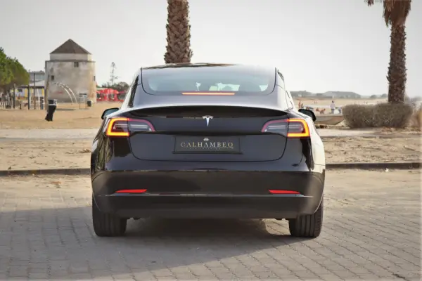 Tesla Model 3 Standard Range Plus RWD 22