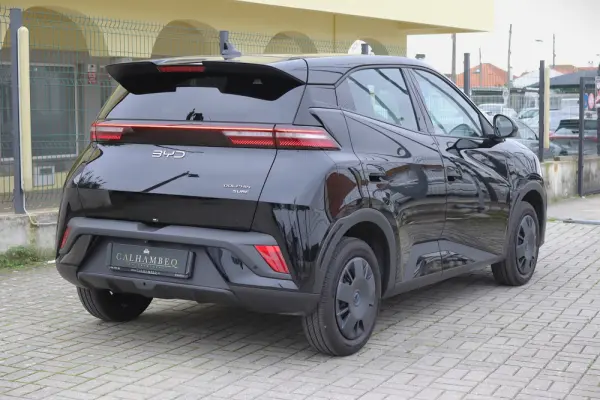 BYD Dolphin Surf 43.2 kWh Boost 3