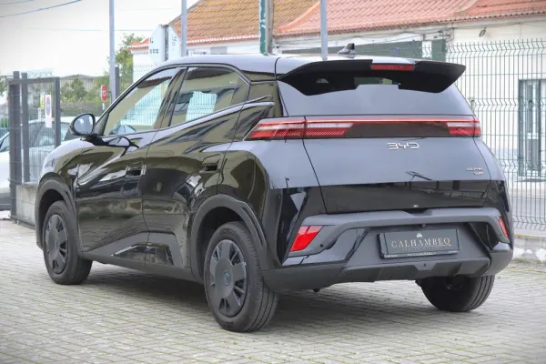 BYD Dolphin Surf 43.2 kWh Boost 11