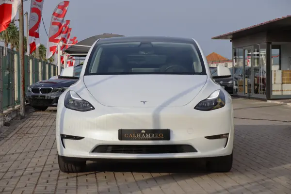 Tesla Model Y Standard 2
