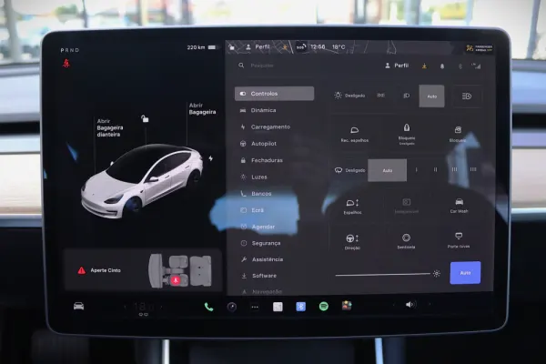 Tesla Model 3 Standard RWD Plus 21