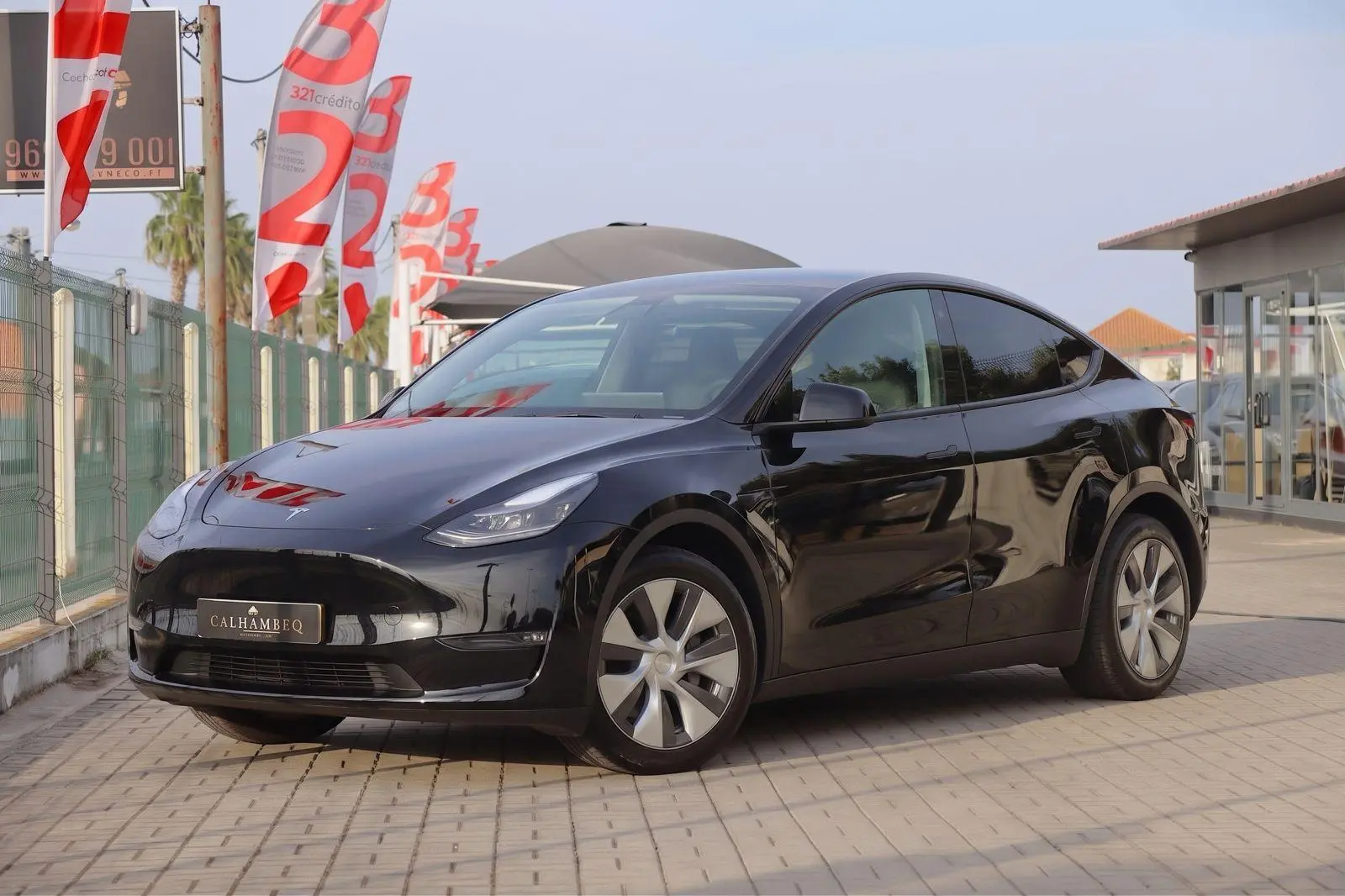 Tesla Model Y Standard 1