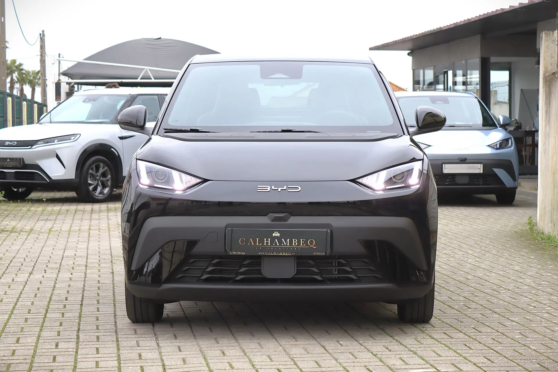 BYD Dolphin Surf 43.2 kWh Boost 2