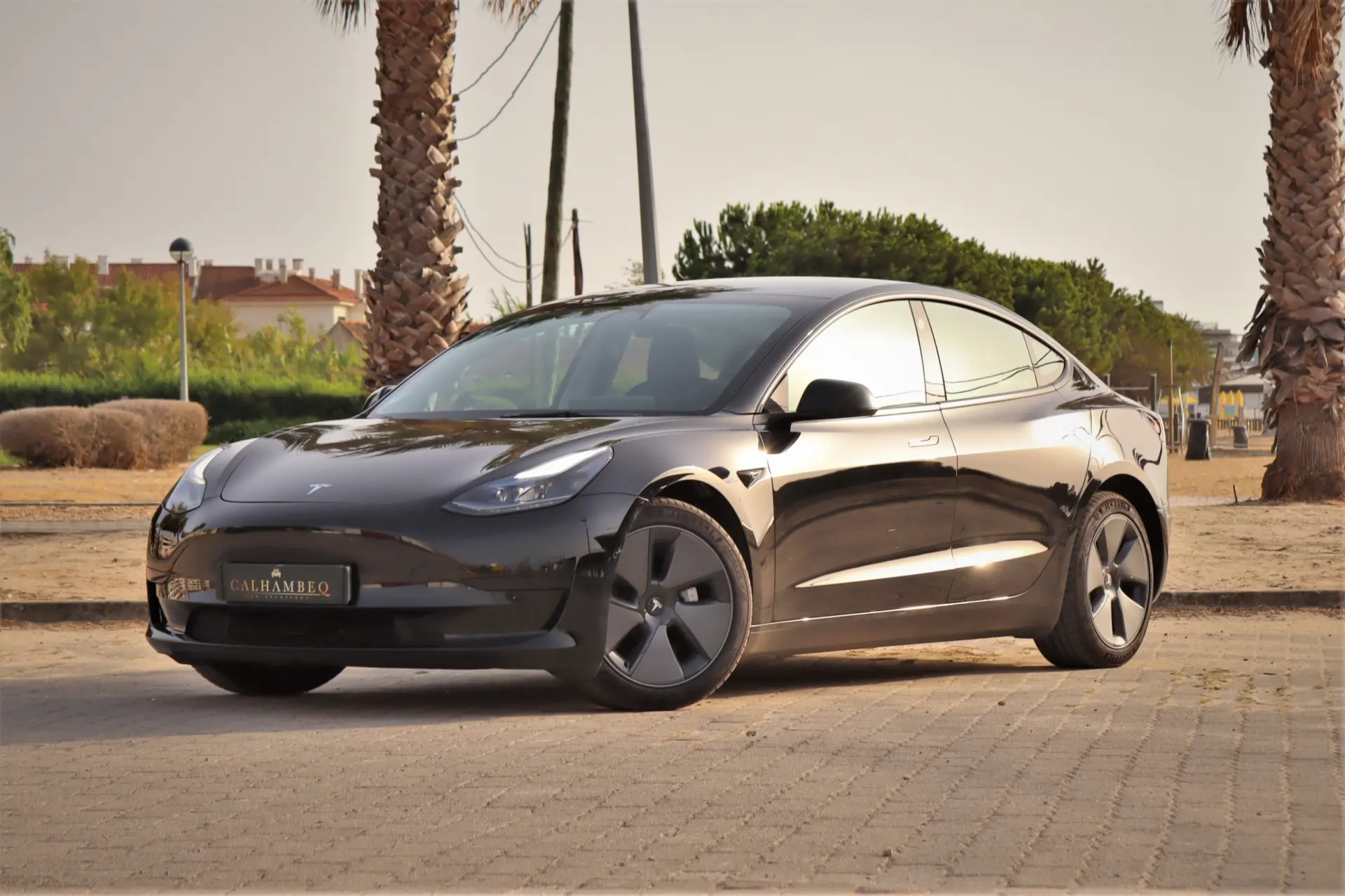 Tesla Model 3 Standard Range Plus RWD 1
