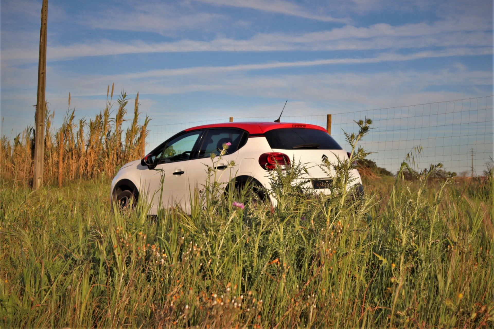 Citroën C3 1.2 PureTech Shine 23