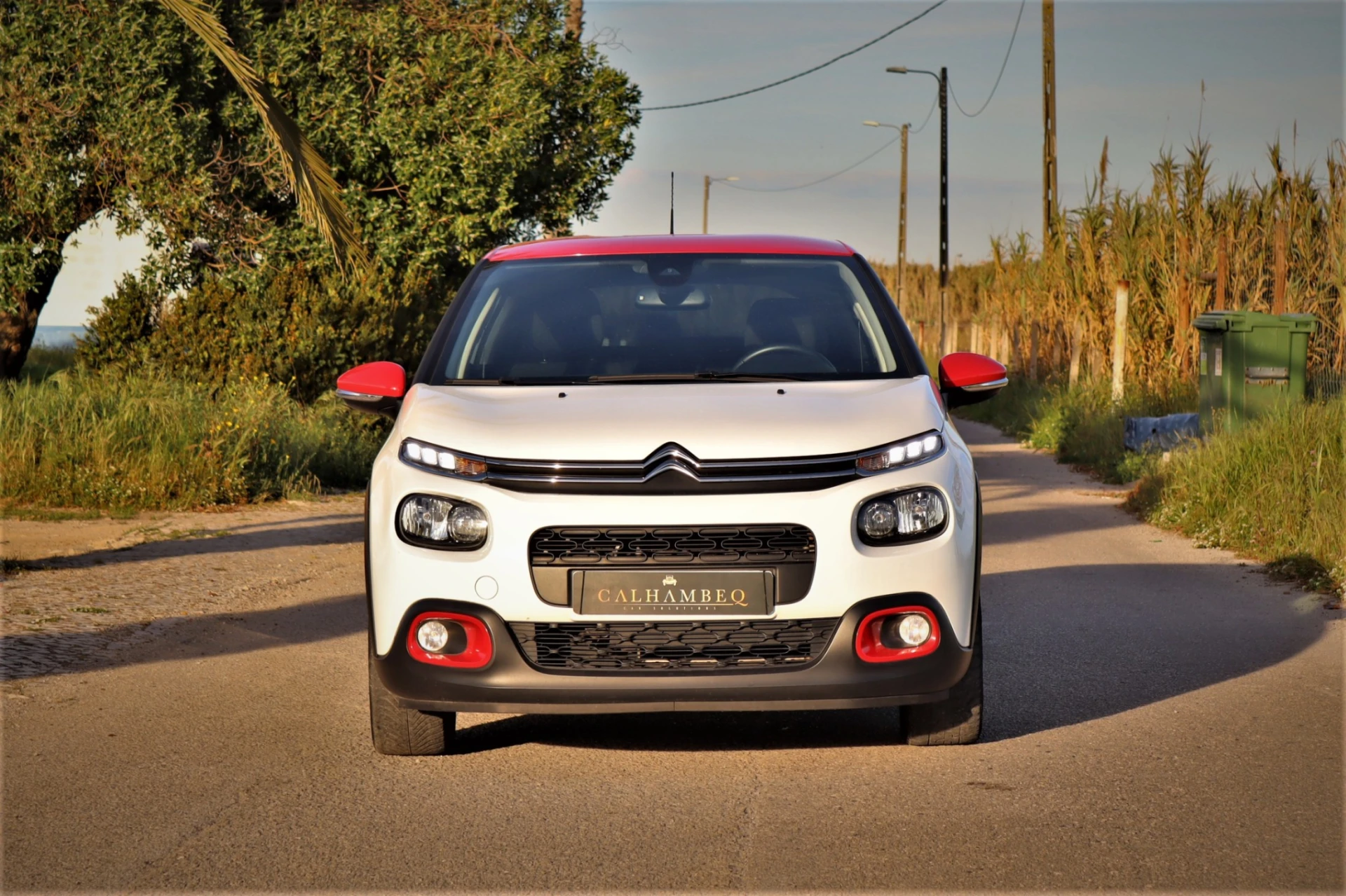 Citroën C3 1.2 PureTech Shine 2