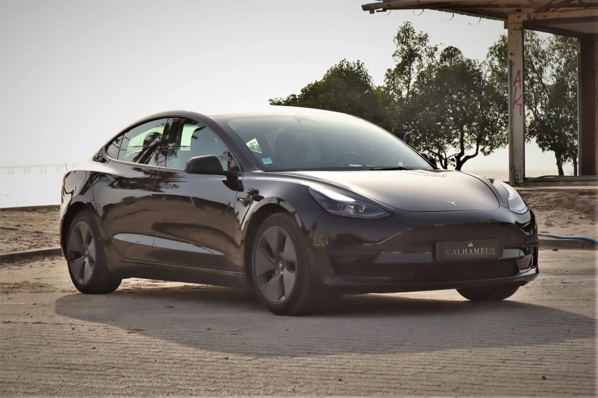 Tesla Model 3 Standard Range Plus RWD 8