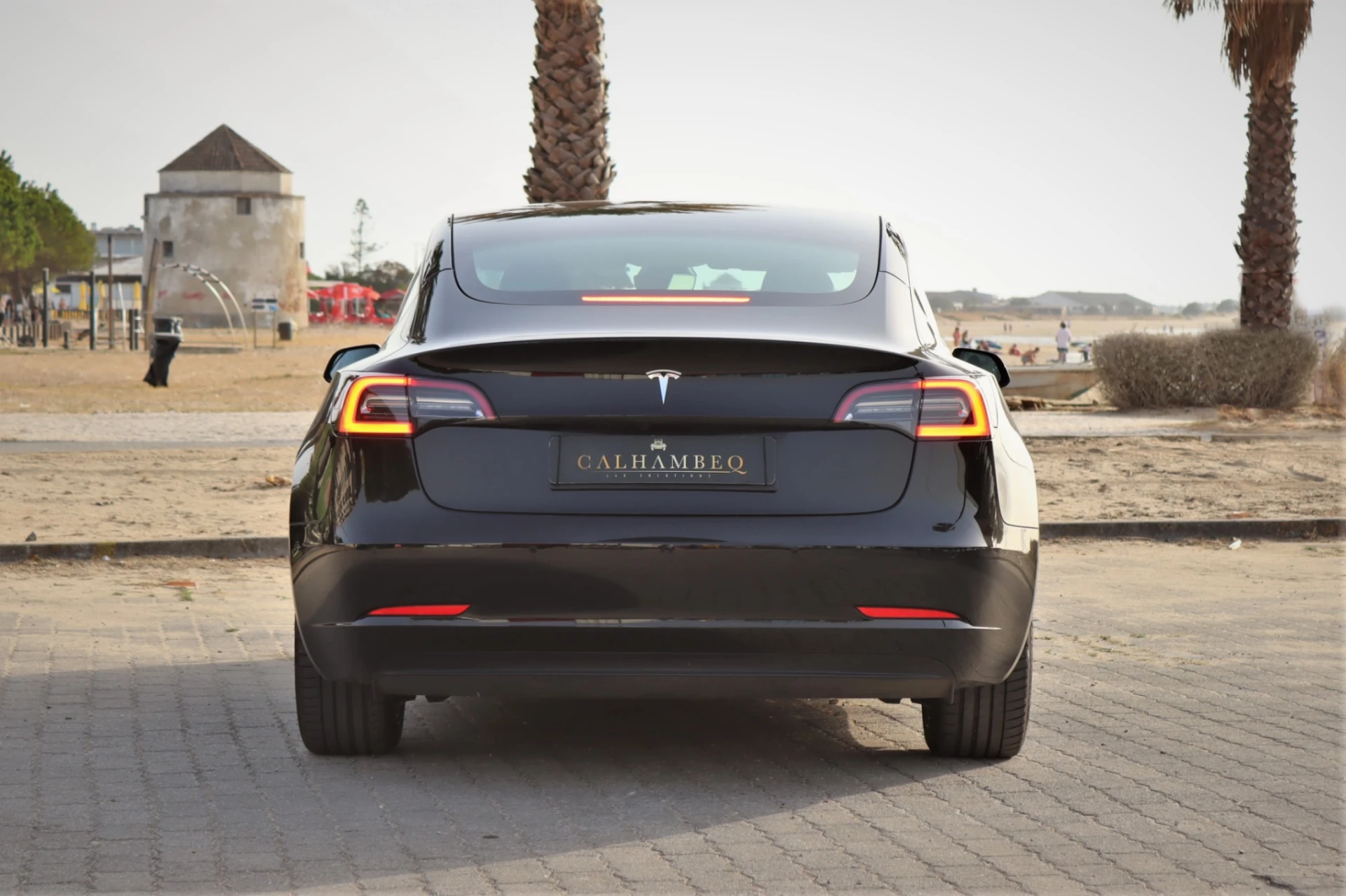 Tesla Model 3 Standard Range Plus RWD 3