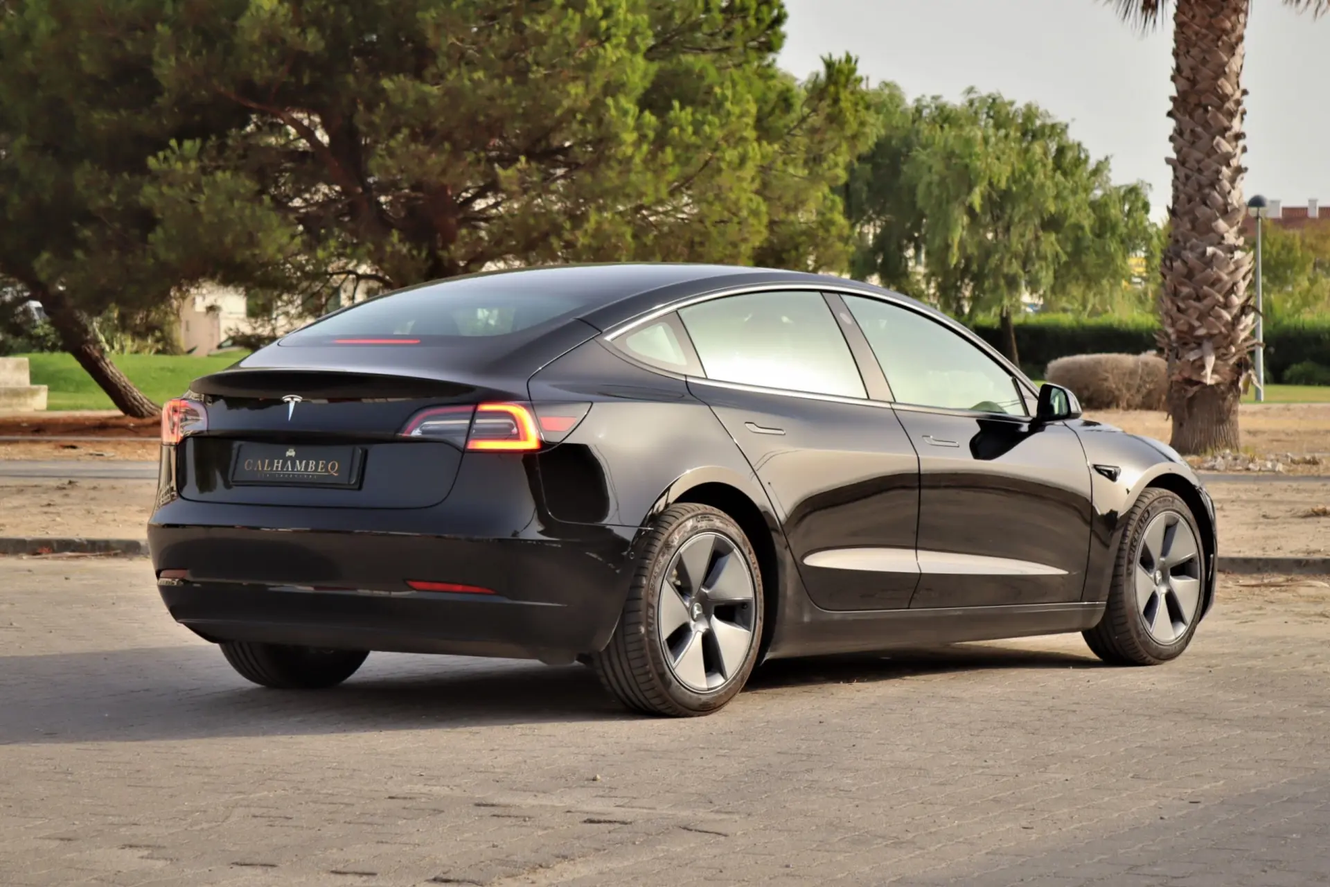 Tesla Model 3 Standard Range Plus RWD 10