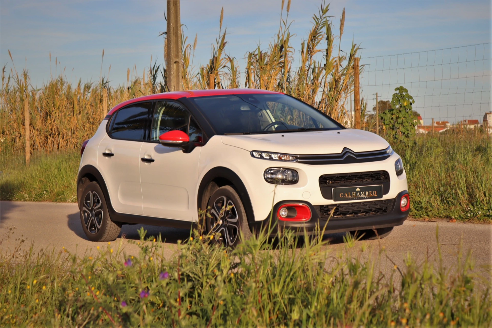 Citroën C3 1.2 PureTech Shine 9