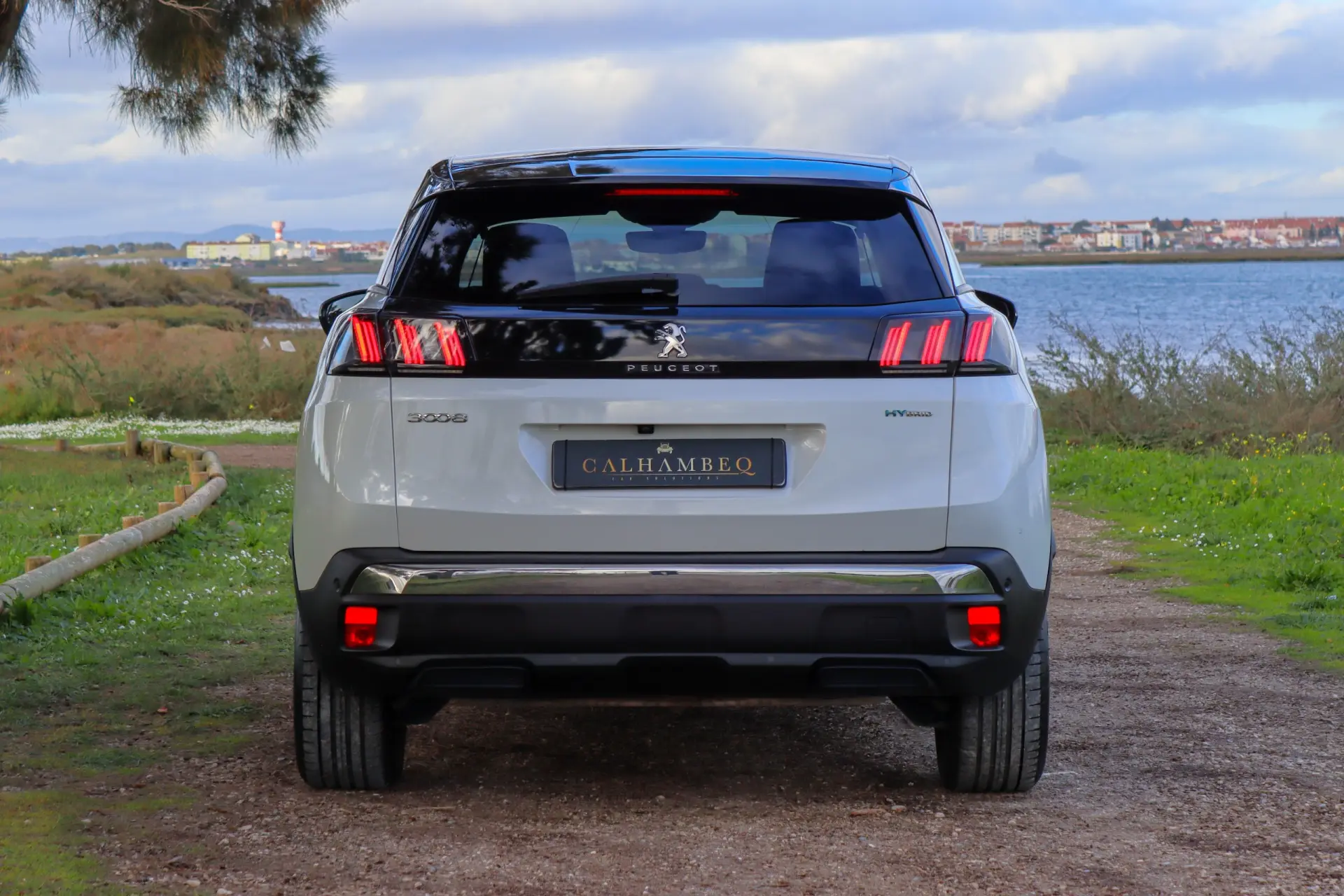Peugeot 3008 1.6 Hybrid Allure Pack e-EAT8 31